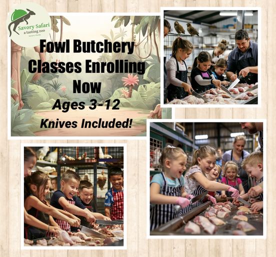 Interactive culinary experience